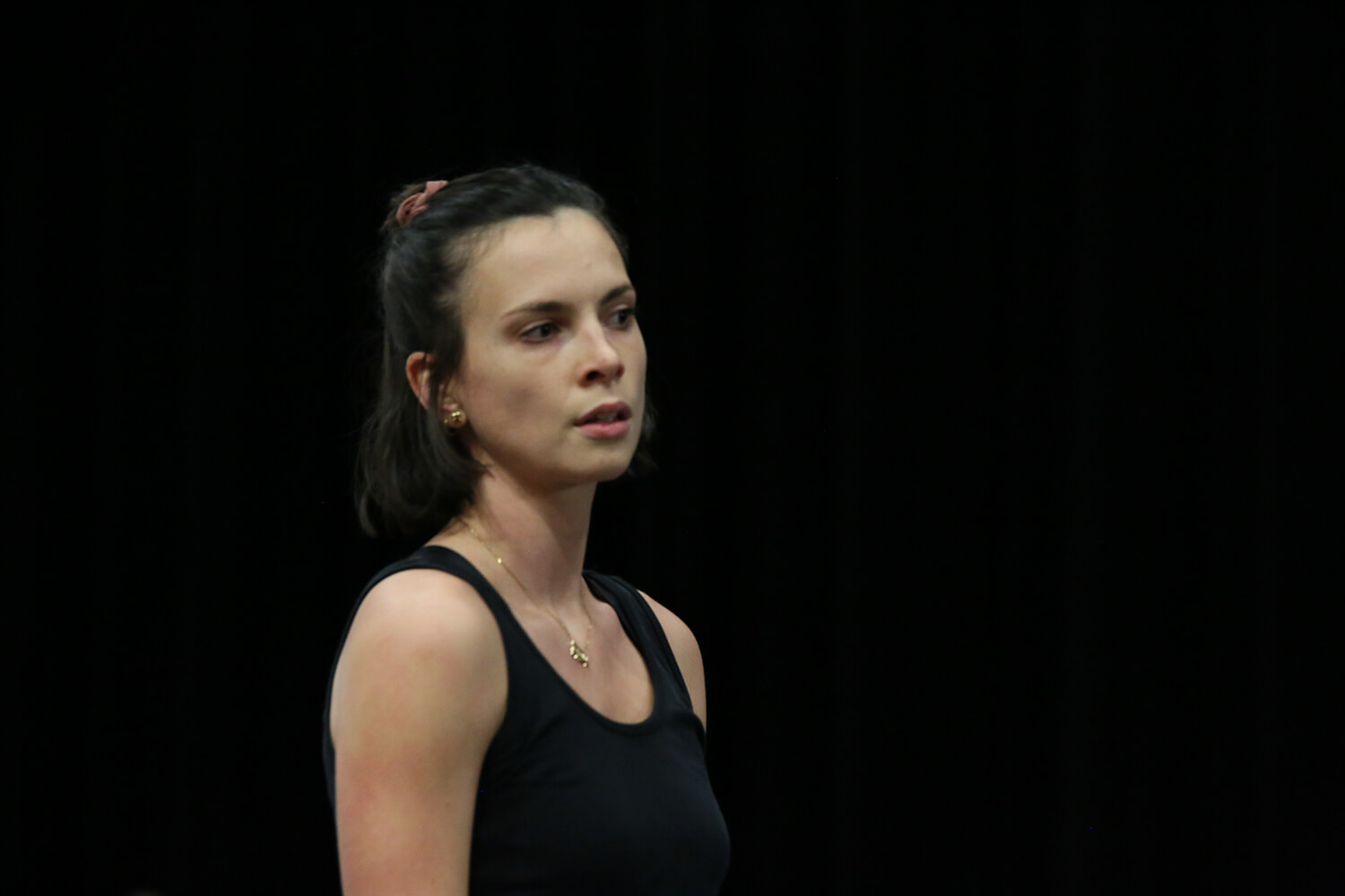 La compagnie Légendanse en Bretagne - Compagnie Légendanse